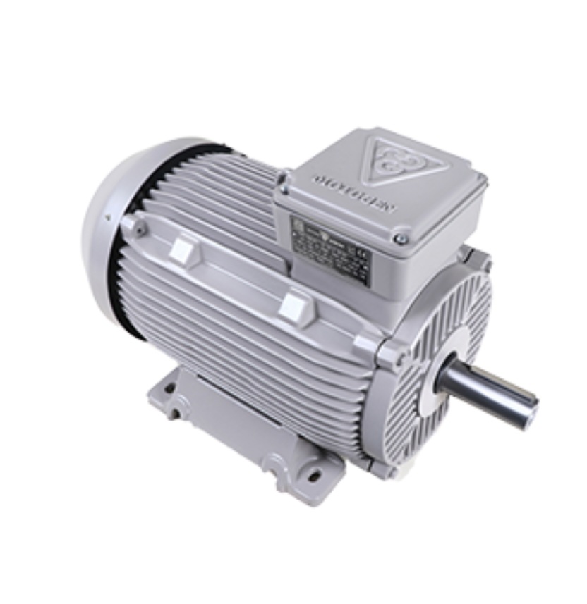 الکتروموتور سه فاز 200L2A موتوژن